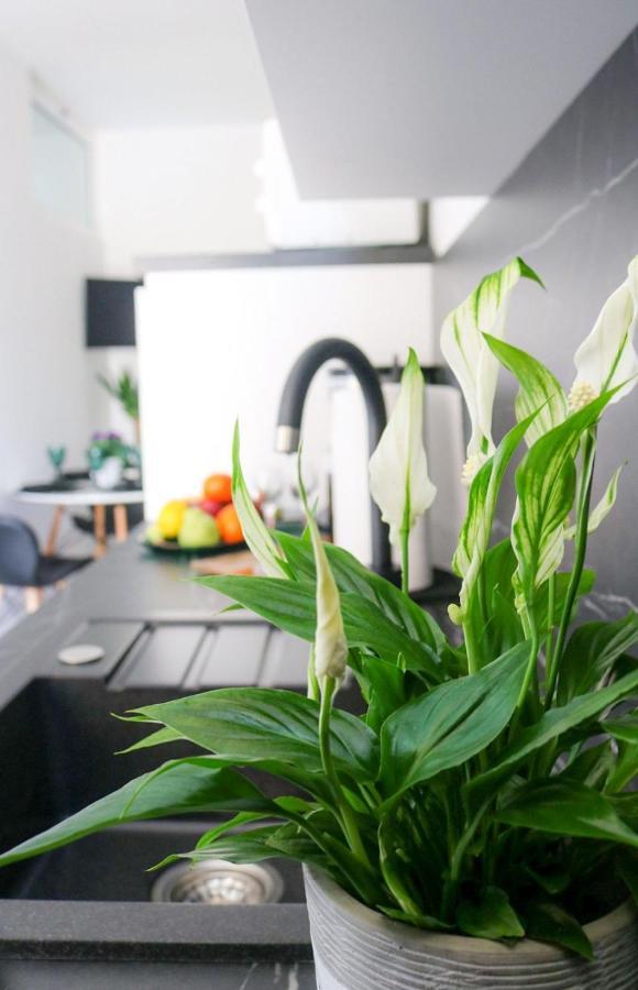 Cosmo Apartment دوبروفينك المظهر الخارجي الصورة